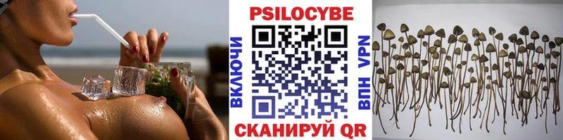 купить  цена  Жиздра  Галлюциногенные грибы Magic Shrooms 